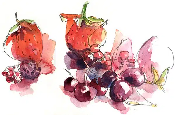 Stages d'aquarelle Atelier de la salamandre