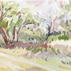 Cours de dessin à distance en visio, peindre la nature avec naturel. Aquarelle et dessin