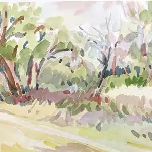 Cours de dessin à distance en visio, peindre la nature avec naturel. Aquarelle et dessin