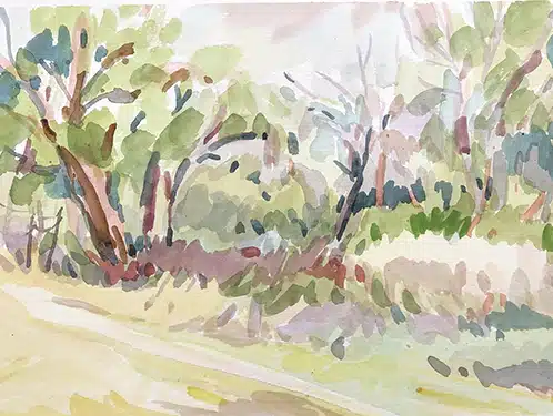 Cours de dessin à distance en visio, peindre la nature avec naturel. Aquarelle et dessin