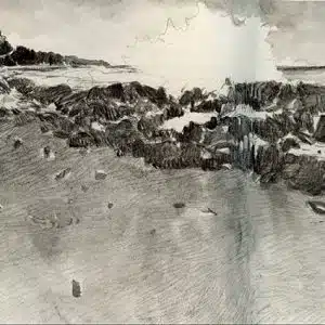 Cours de dessin en visio à distance, le crayon graphite aquarellable
