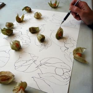 Cours de dessin en visio, dessin d'observation